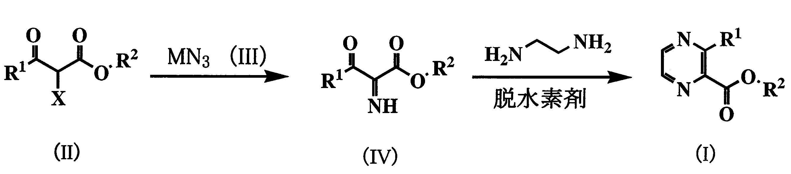 Figure JPOXMLDOC01-appb-C000016
