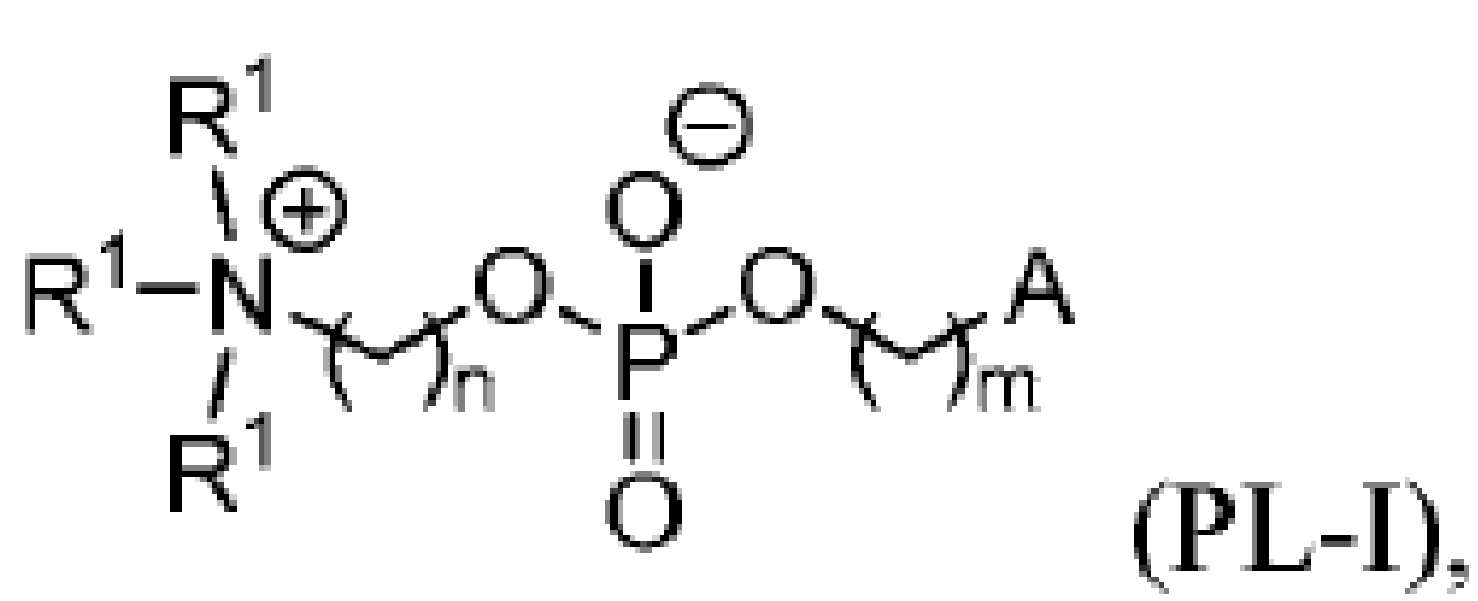 KR20210135494A - 지질 나노입자의 제조 방법 - Google Patents