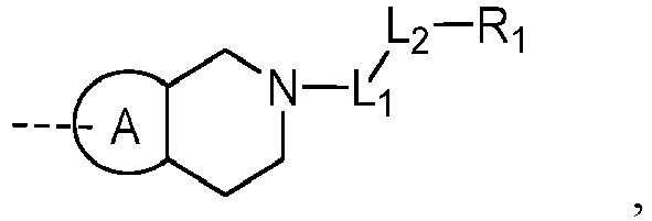 Figure imgb0024