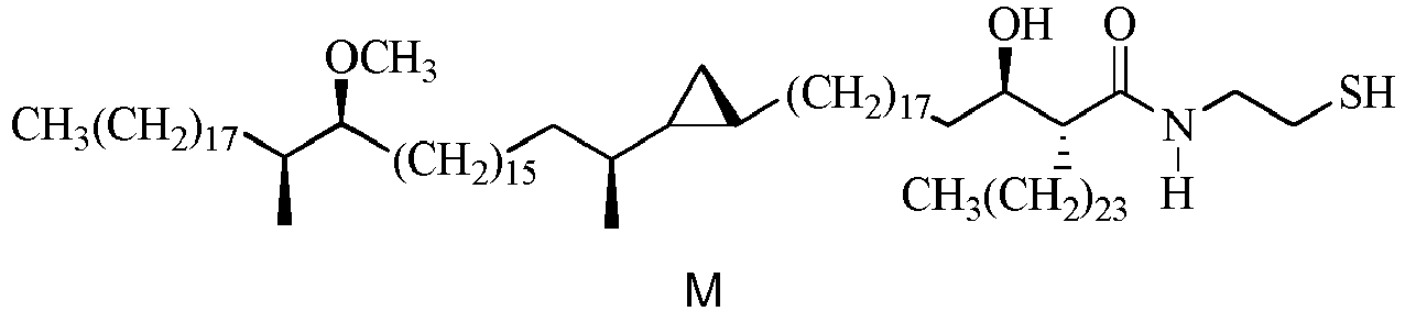 Figure imgb0023