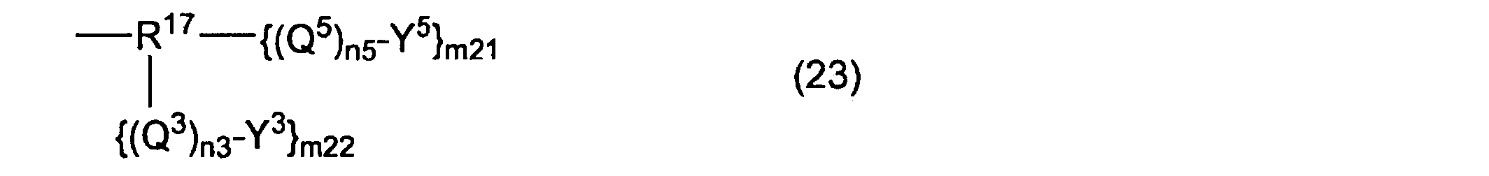 Figure JPOXMLDOC01-appb-C000052