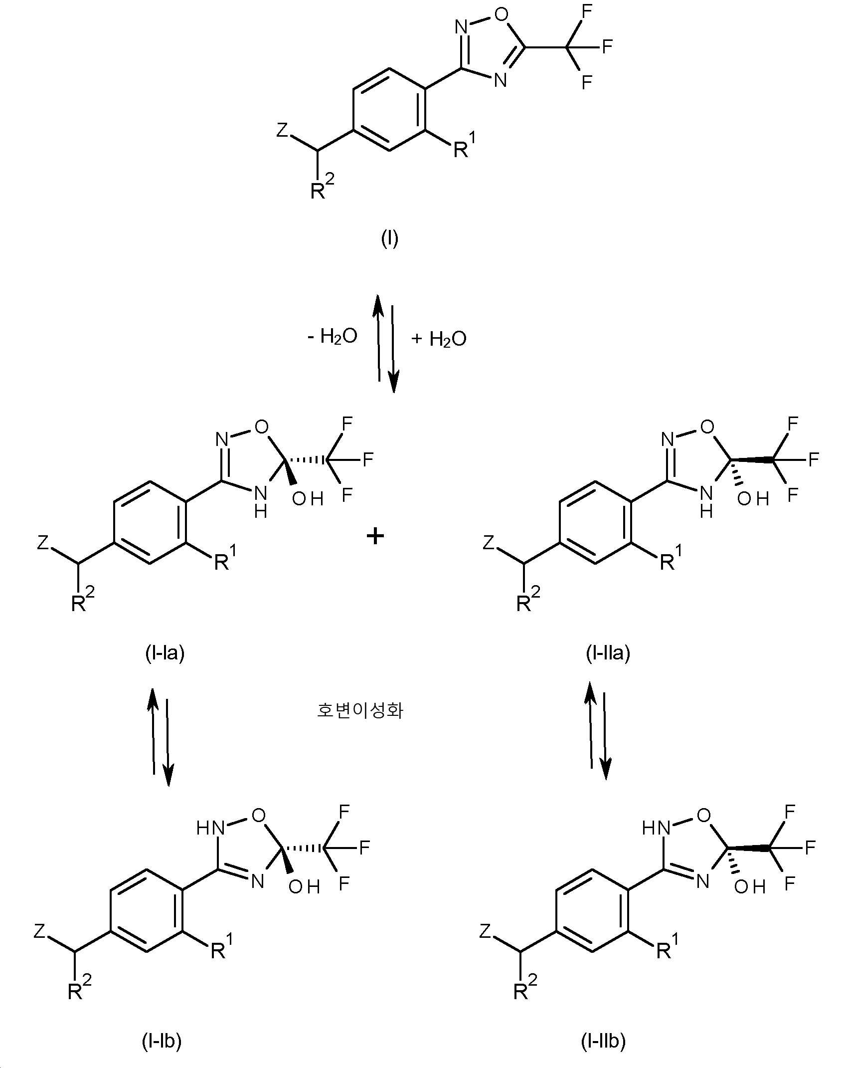 Figure pct00012