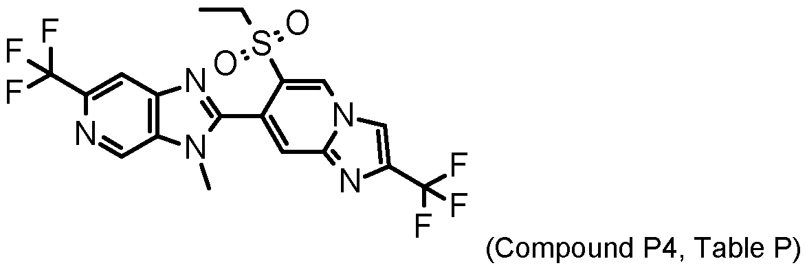 Figure imgf000077_0001