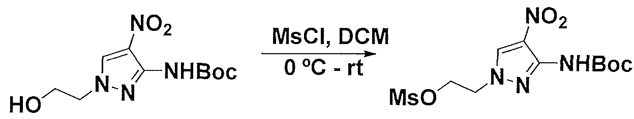 Figure imgf000053_0001
