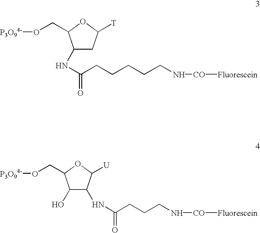 Figure US06864059-20050308-C00074