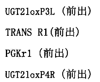 Figure JPOXMLDOC01-appb-I000122