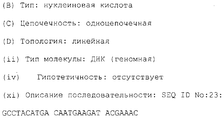 RU2194054C2 - Синтетические <b>аналоги</b> il-10 - Google Patents