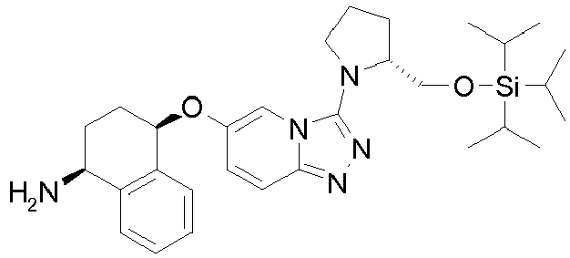 Figure imgb0199