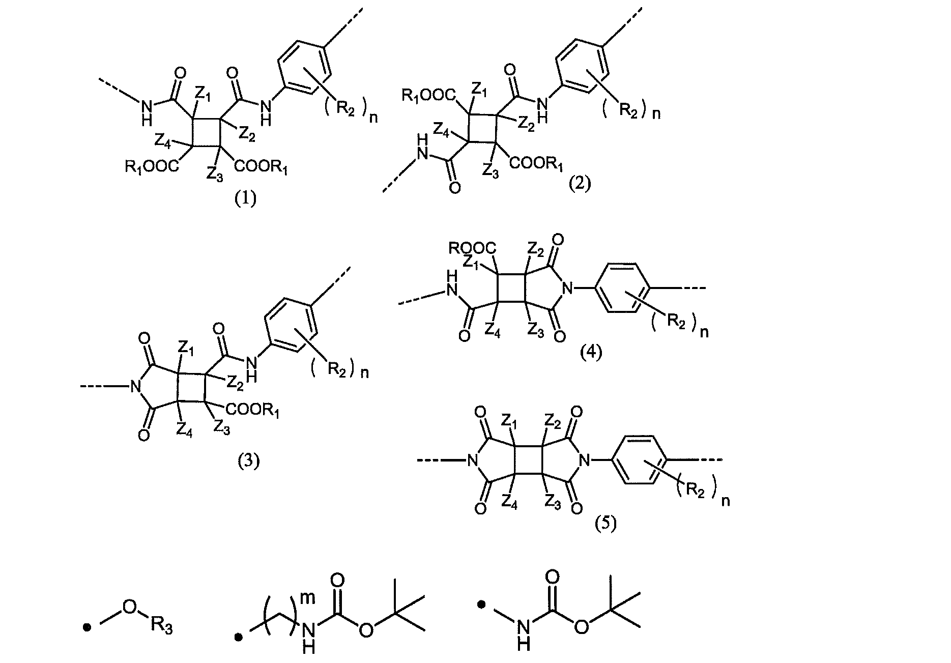 Figure JPOXMLDOC01-appb-C000021