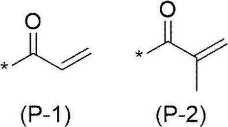 Figure JPOXMLDOC01-appb-C000019
