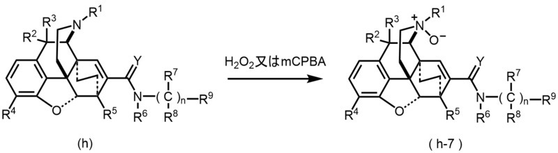 Figure JPOXMLDOC01-appb-C000011