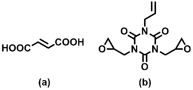 Figure JPOXMLDOC01-appb-C000024