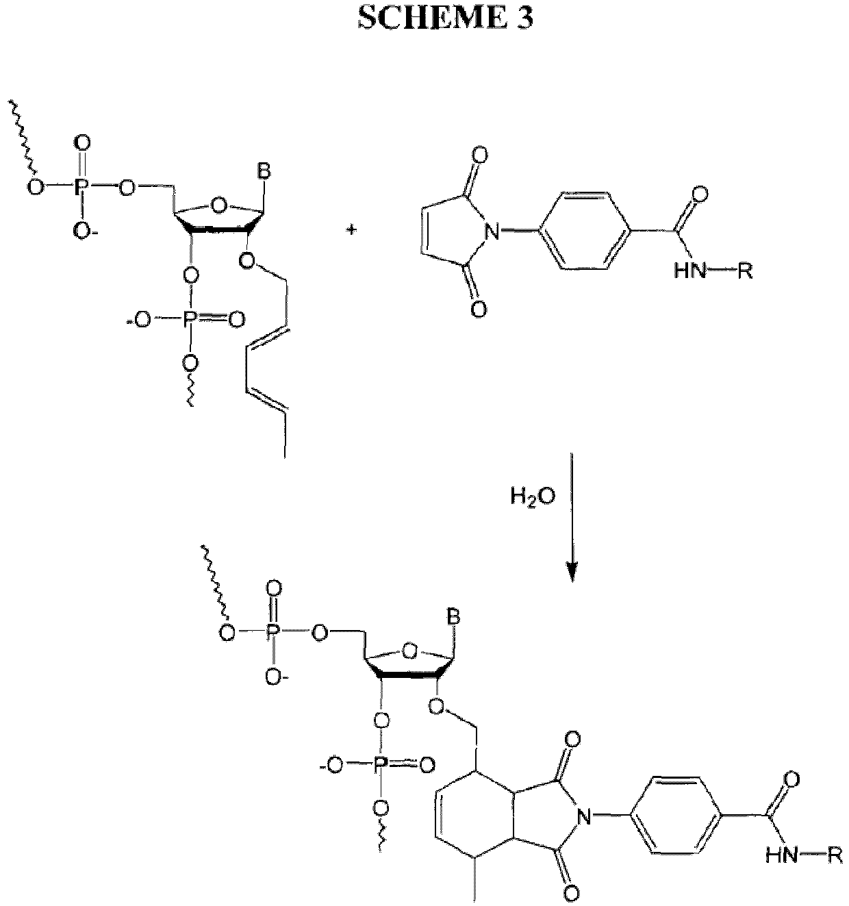 Figure imgb0014