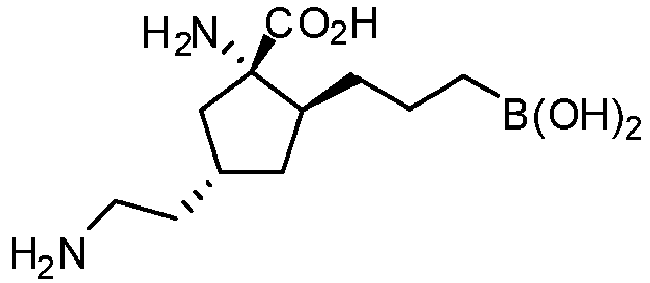 Figure imgb0205