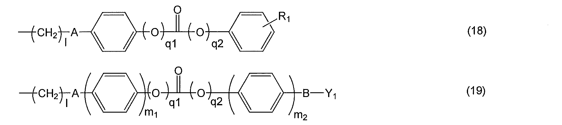 Figure JPOXMLDOC01-appb-C000051