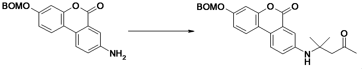 Figure JPOXMLDOC01-appb-I000052