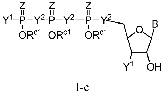 Figure imgb0081