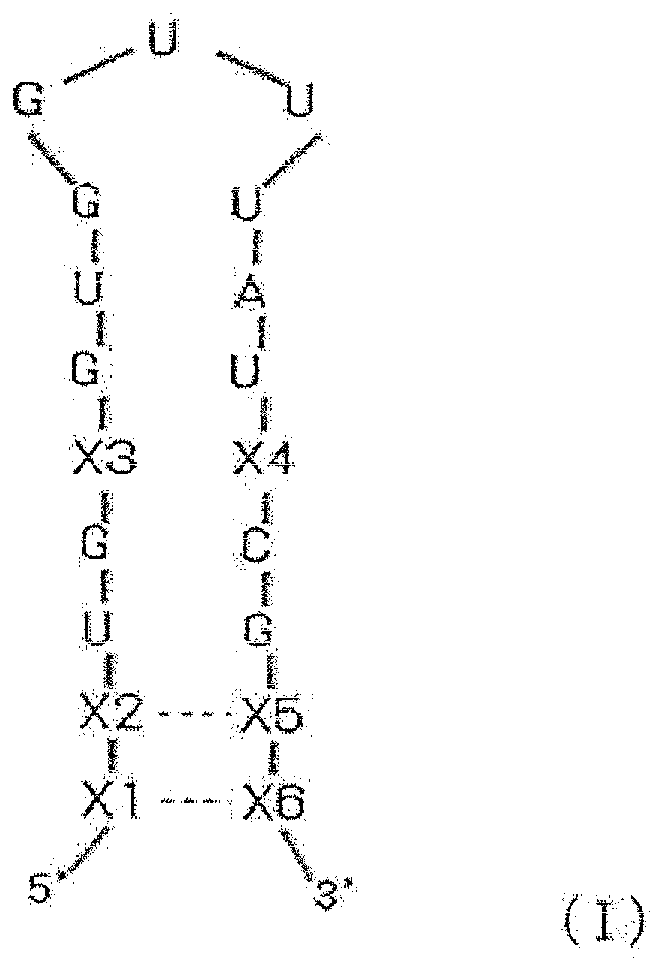 Figure imgb0057