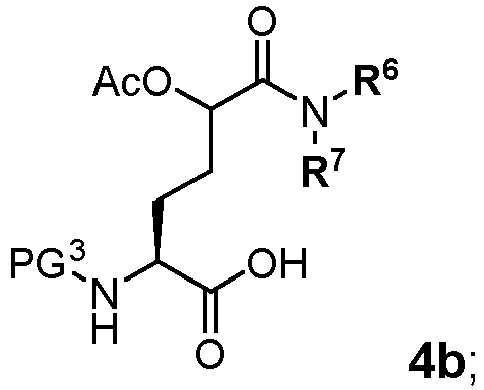 Figure imgb0558