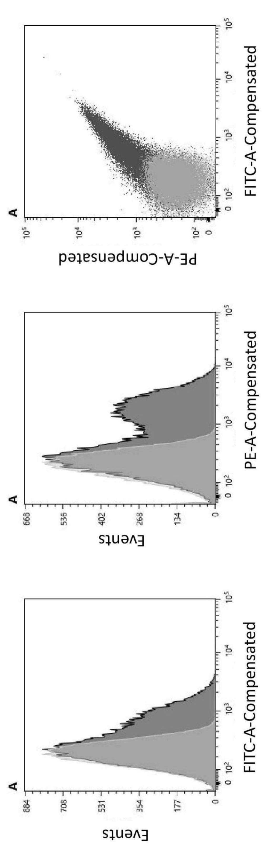 Woa1 Homogeneous Immunoassay Method Using Peptide Having Multiple Fluorochromes Joined Thereto Google Patents Woa1 Homogeneous Immunoassay Method Using Peptide Having Multiple Fluorochromes Joined Thereto Google Patents
