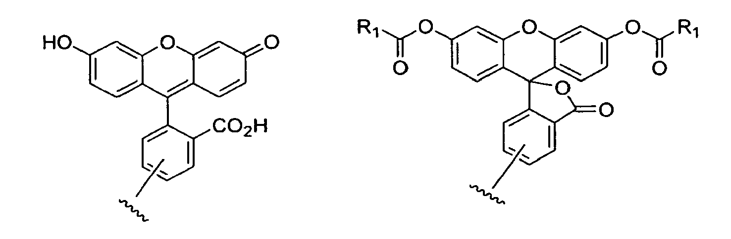 Figure imgb0033