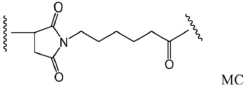 Figure imgb0019