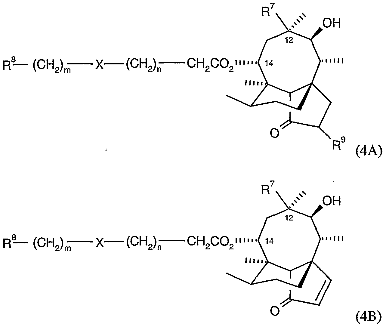 Figure imgf000007_0001