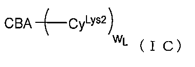 Figure 0007203834000044