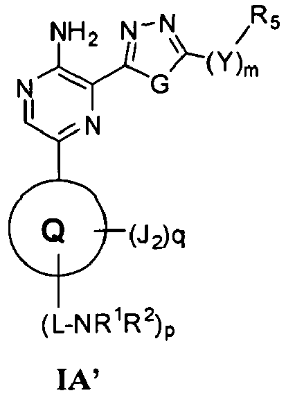 Figure imgb0010