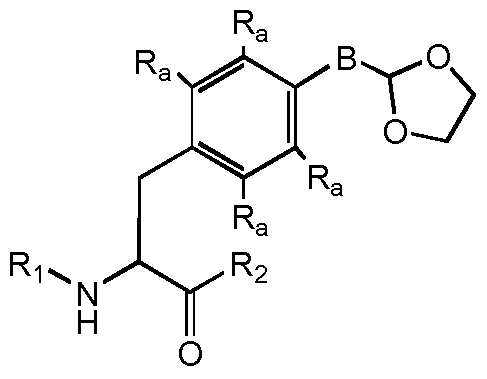 Figure imgf000089_0001