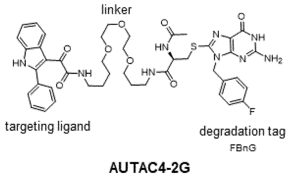 Figure JPOXMLDOC01-appb-C000023