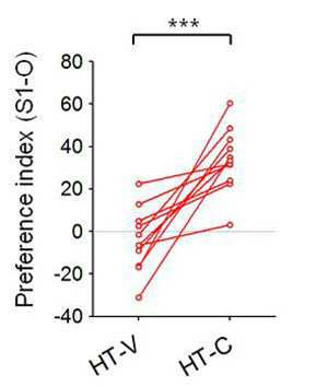 특허 도면 61