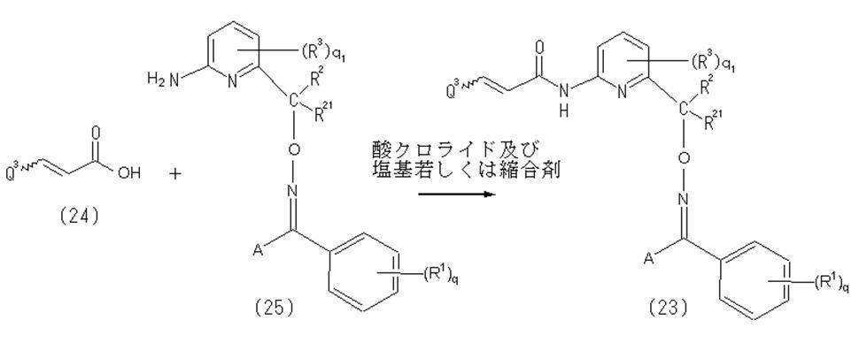 Figure JPOXMLDOC01-appb-C000017