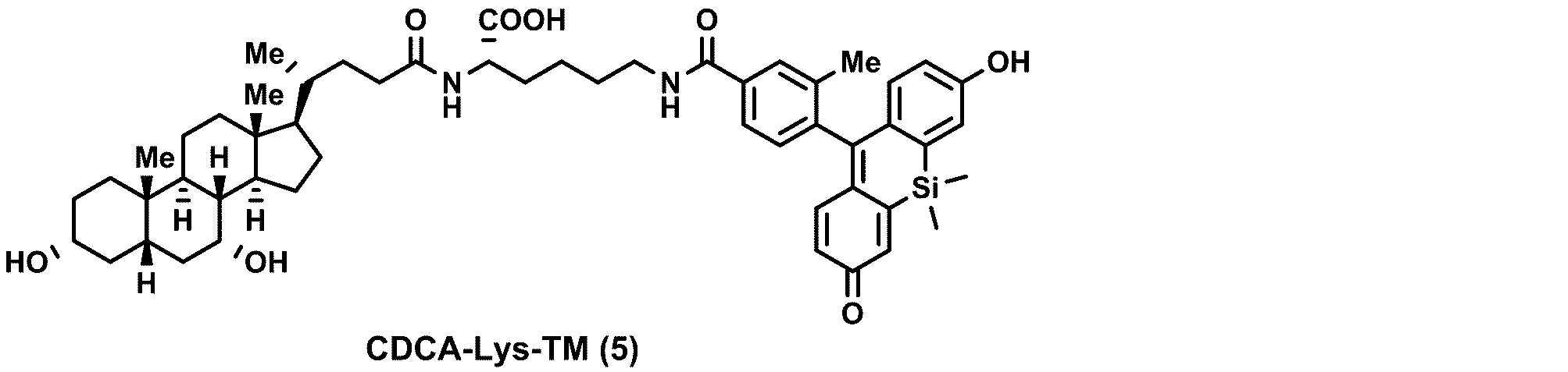 Figure JPOXMLDOC01-appb-C000027