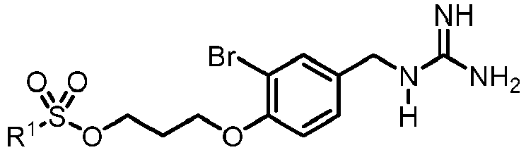 Figure imgb0045