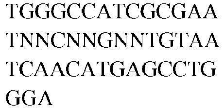 Figure imgb0241
