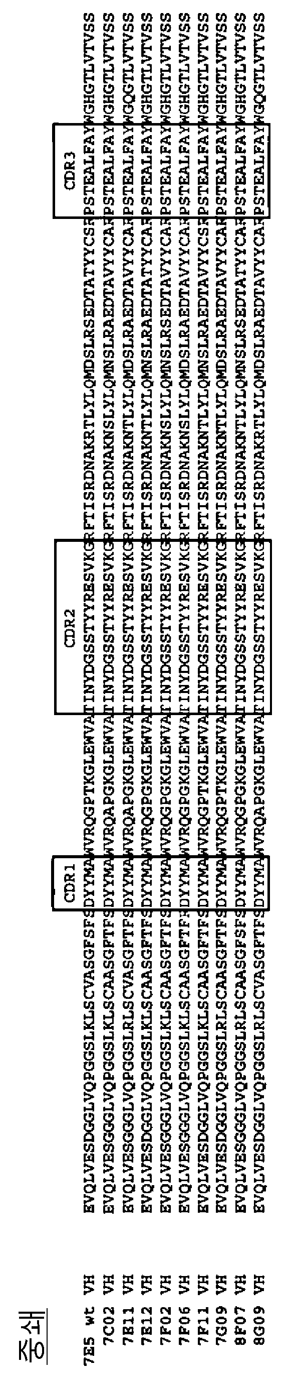 KR20170099963A - 인간 c6에 결합하는 항체 및 이의 용도 - Google Patents