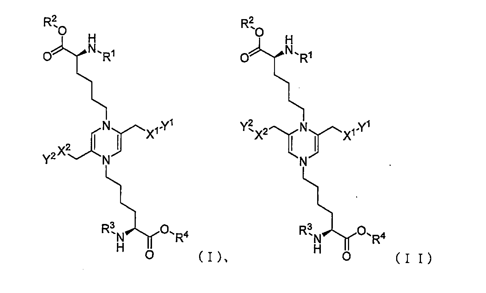 Figure JPOXMLDOC01-appb-C000010