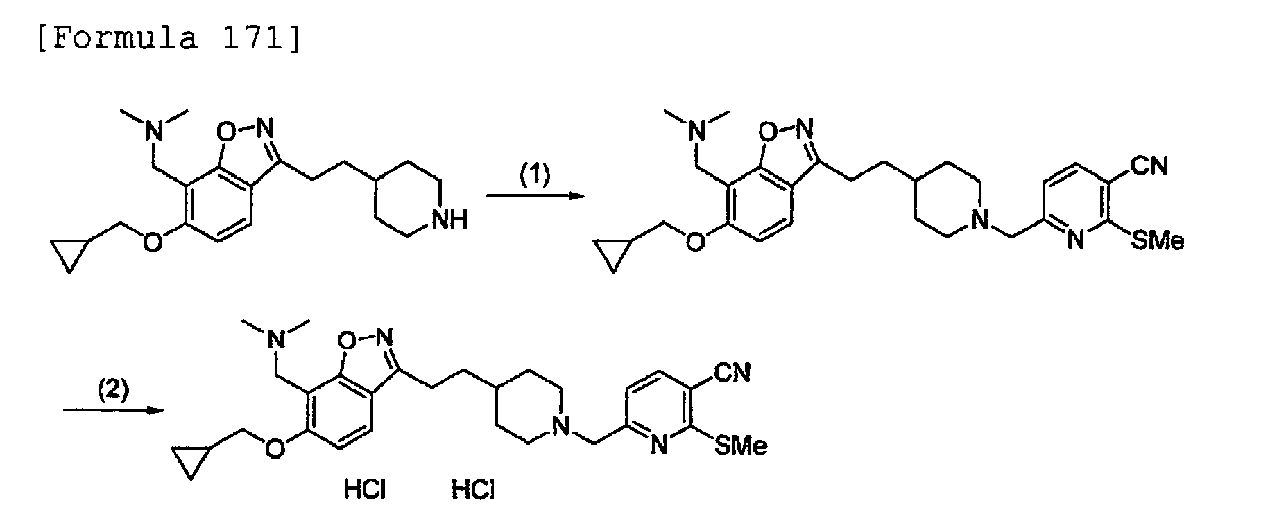 Figure imgb0171