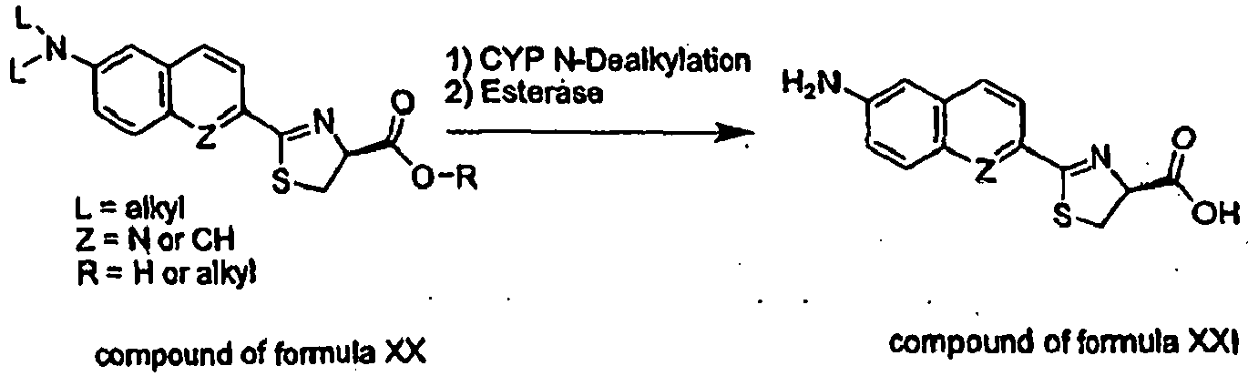 Figure imgb0021