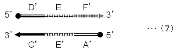 Figure JPOXMLDOC01-appb-C000007