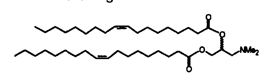Figure imgf000005_0002
