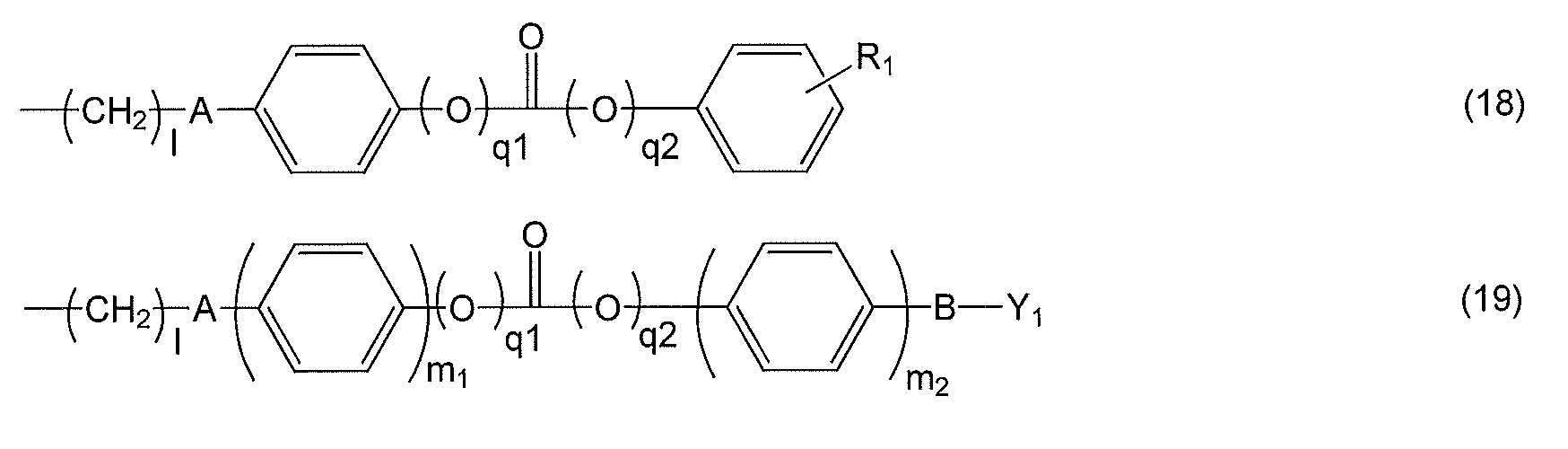 Figure JPOXMLDOC01-appb-C000028