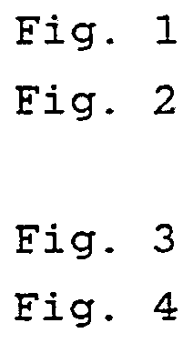 Figure imgf000006_0001