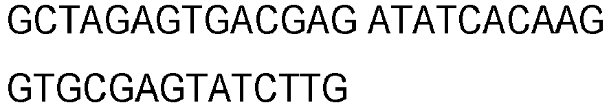 Figure imgb0053