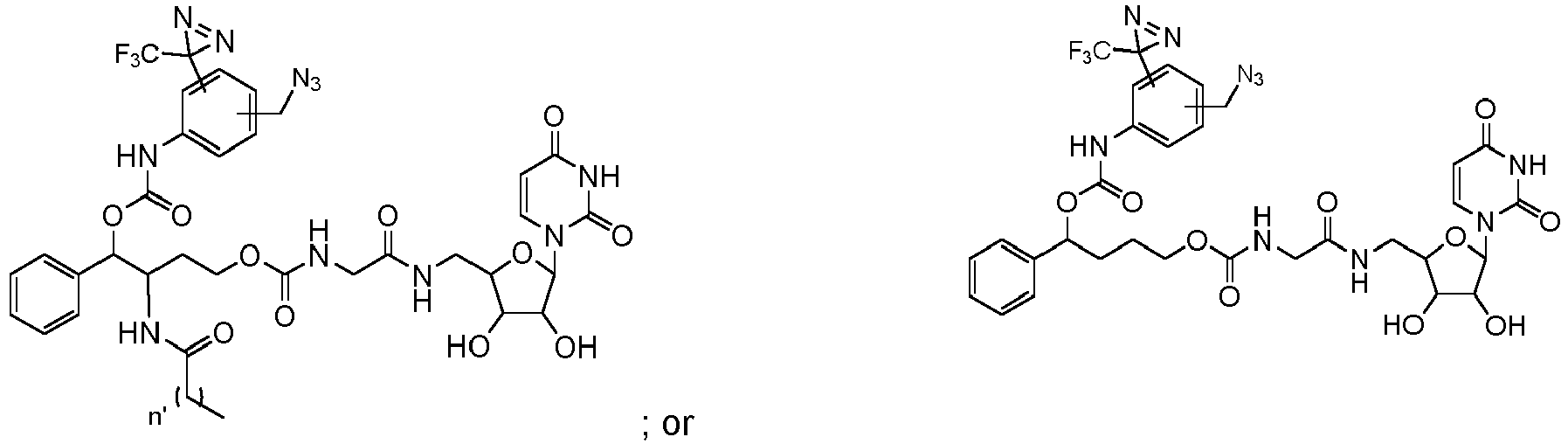 Figure imgb0099