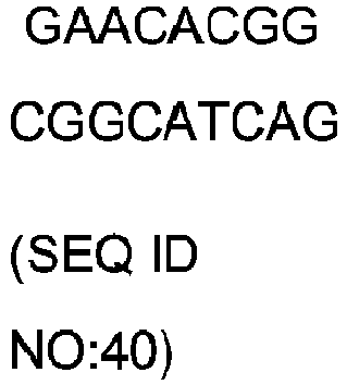 Figure imgb0053