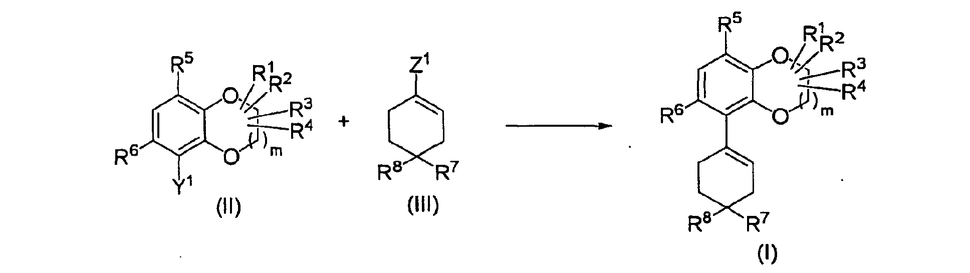 Figure 00210001