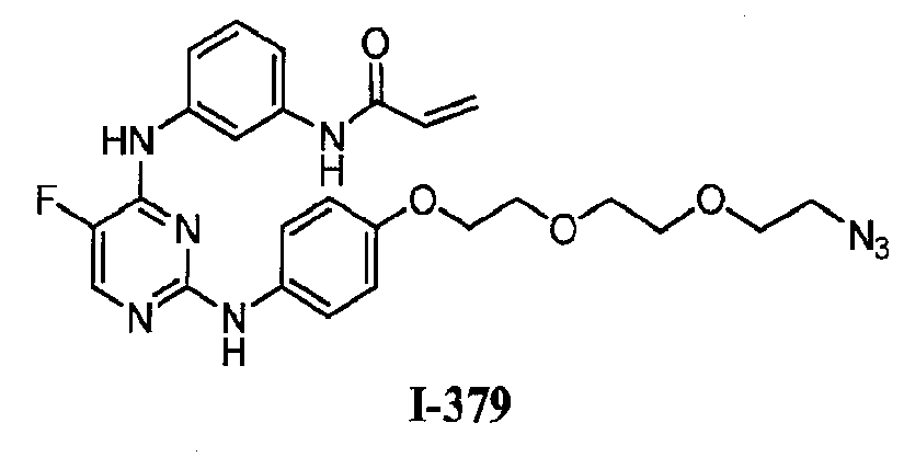 Figure pat00717