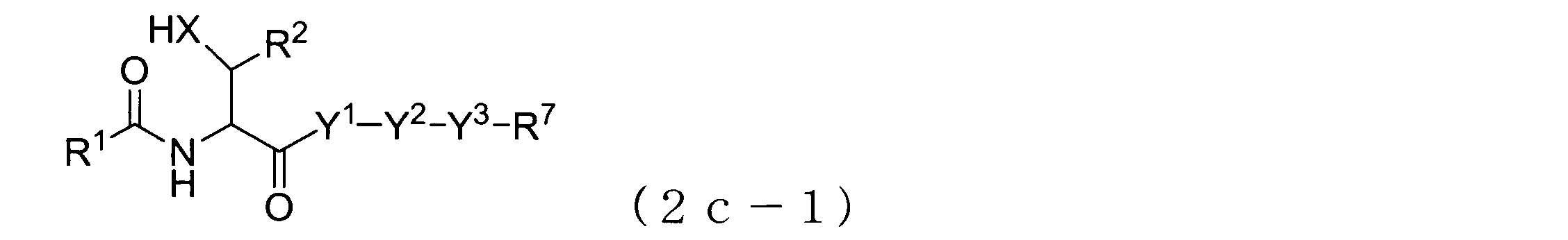 Figure JPOXMLDOC01-appb-C000077